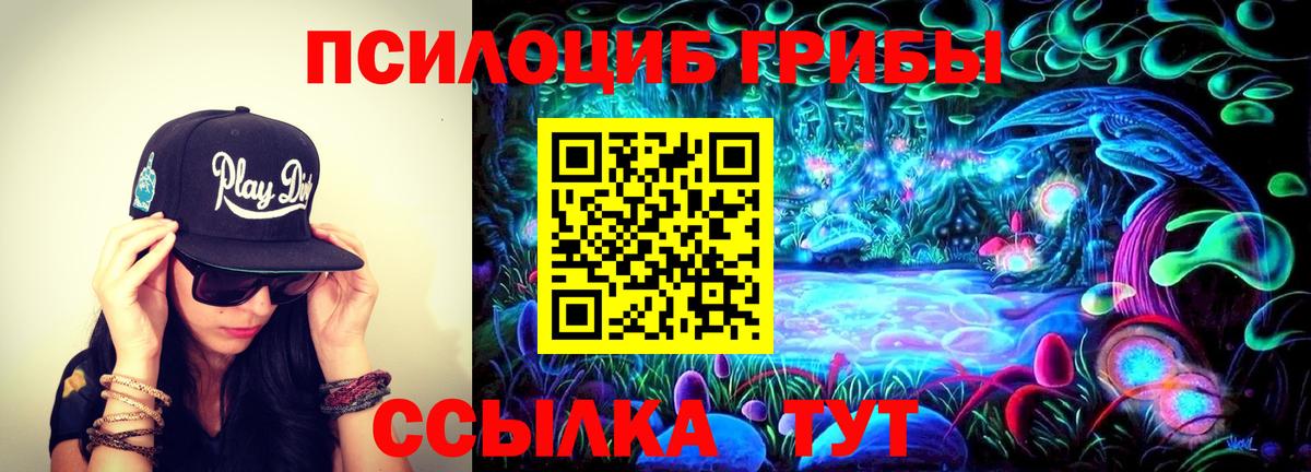 Копейск  Галлюциногенные грибы прущие грибы  Вход с VPN 